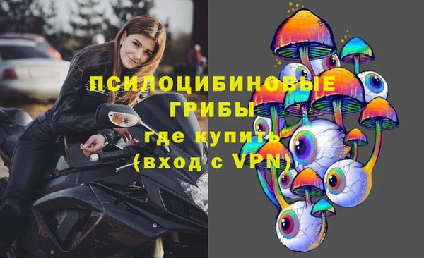 дживик Сим