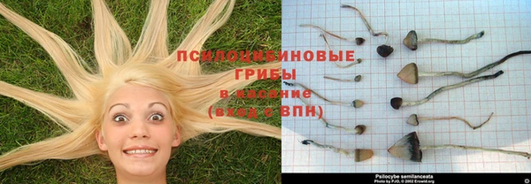 скорость mdpv Чердынь