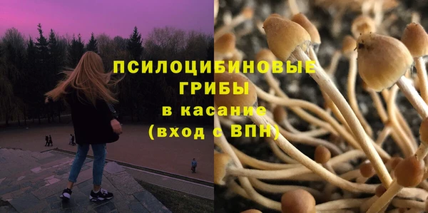 бошки Майский