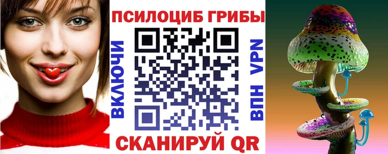 цены   мега как зайти  Галлюциногенные грибы Psilocybe  Приволжский 